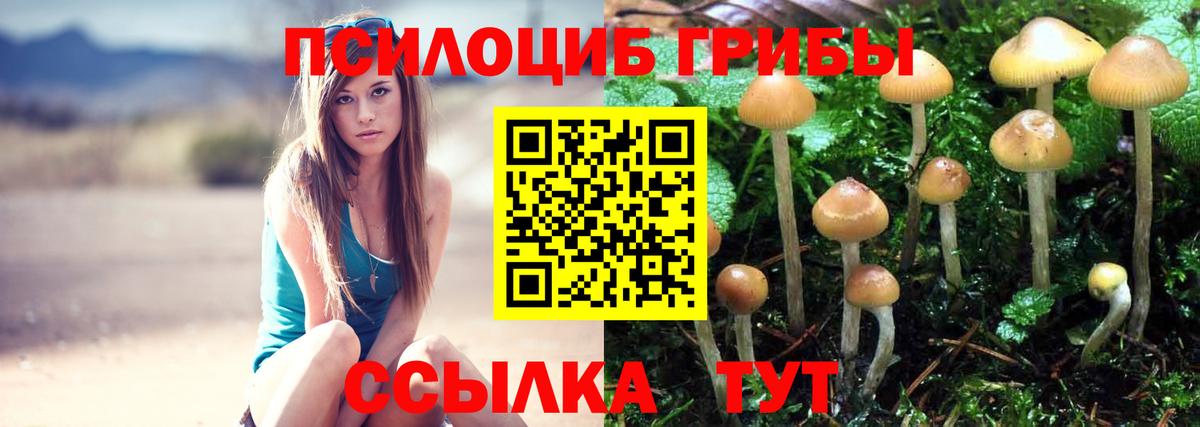 Галлюциногенные грибы GOLDEN TEACHER  Вход с VPN  Анжеро-Судженск  Галлюциногенные грибы Psilocybe 
