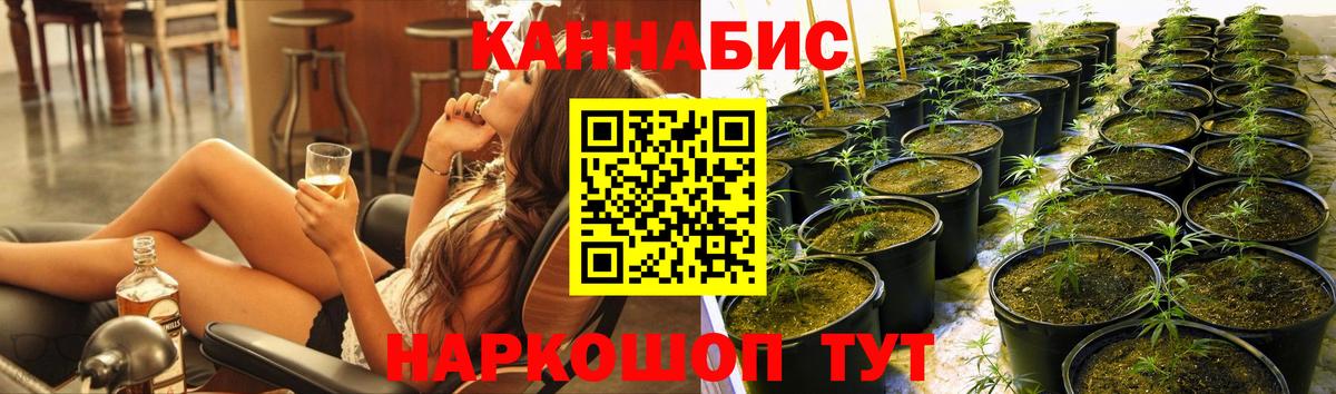 Конопля White Widow Анжеро-Судженск